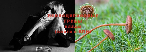 скорость mdpv Белокуриха